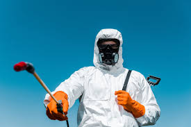 Best Real Estate Pest Inspections  in Tehachapi, CA